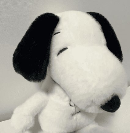 Peluche Snoopy Que Respira